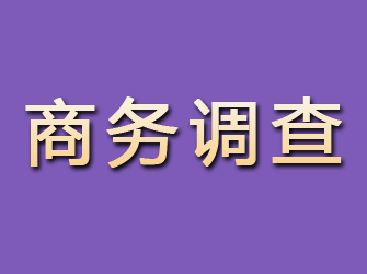 内蒙古商务调查